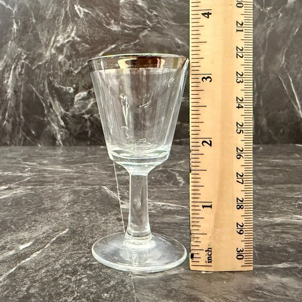 Silver Rimmed Shot Glasses (Set of 4)